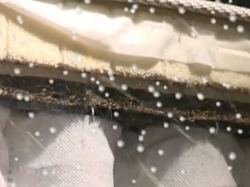 「驚悚！8年不換床墊，藏4.5公斤死皮養塵螨」健康環保床墊工廠有解！