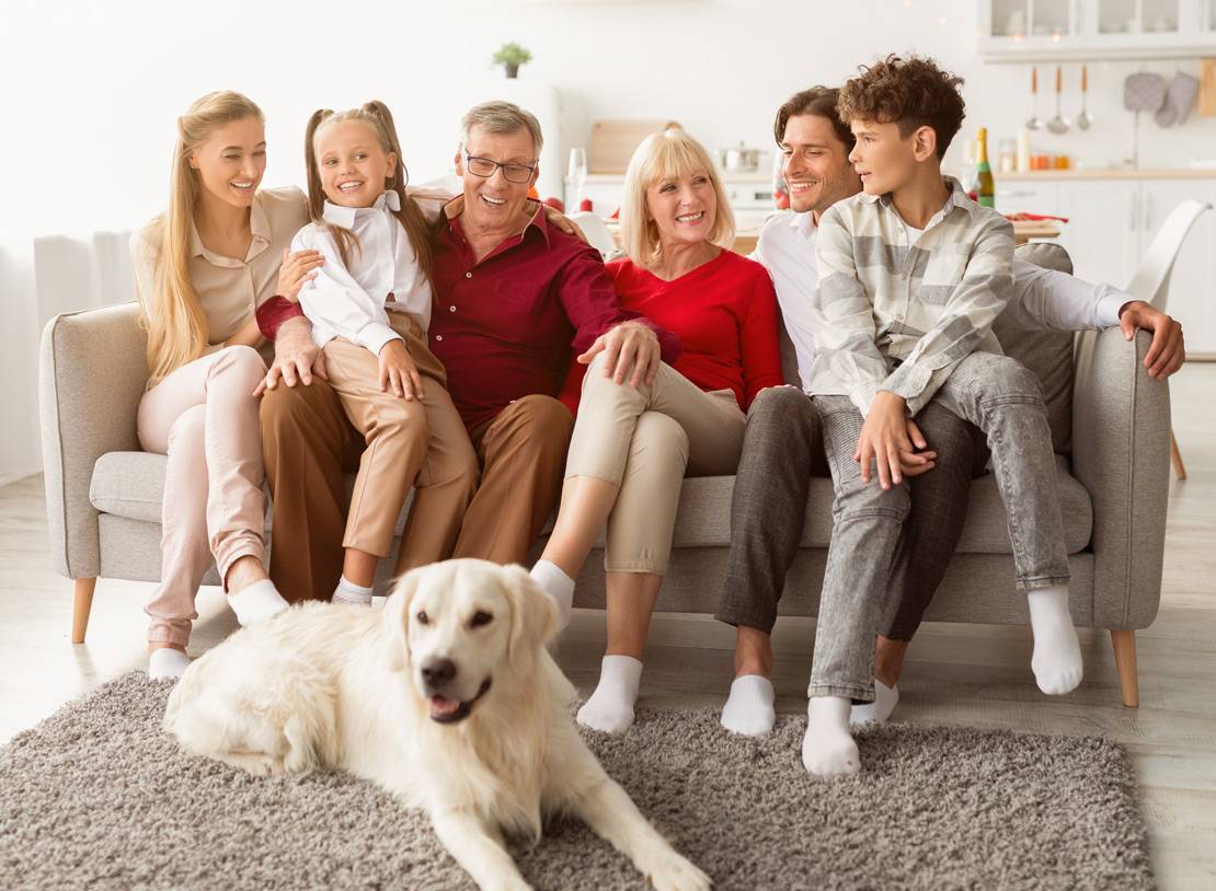 綠色家具預約諮詢服務